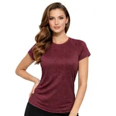 Camiseta Feminina Dry Fit Academia Blusa Fitness