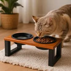 Comedouro Pet Bebedouro Elevado Tigelas Duplas Plástico Cães Gatos