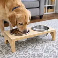 Comedouro Bebedouro Duplo Elevado Para Caes Cachorros E Gatos 400ML Tampas