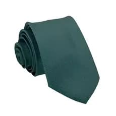 Kit Gravata Verde Esmeralda Slim com TAG Para Padrinhos Casamento Cor Vibrante