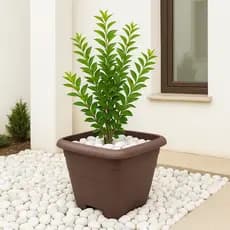 Kit Com 6 Vasos Quadrados 11 Litros Horta Quintal Flores Diversas Plantas Temperos Detalhe Grego