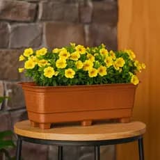 Kit 12 Vasos Jardim 6 Litros Plástico Reforçado Color Hortaliças Ervas Temperos Mudas Plantas Grego