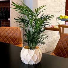 Vaso Design Ondas Cachepot Decoração Moderna para Plantas e suculentas - Decorativo Sala De Estar Banheiro Cozinha