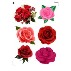 Adesivos flores á prova d'água cores vivas e brilhantes  temos á pronta entrega chega rapidinho.