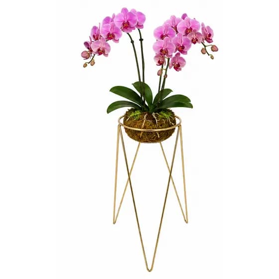 Suporte P/Vaso Chão Metal Tripé 35cm Dourado