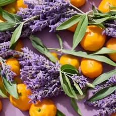 Essência Concentrada Lavanda e Mandarina Verde 50ml| Serenidade e Frescor