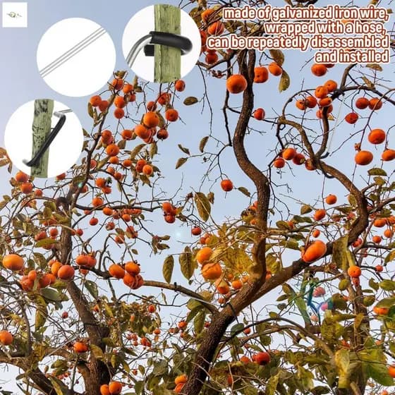 Dobrador De Galhos De Árvores Frutíferas , 10 Pacotes , Abridor De Ângulo De Ramo De Liga De Alta Resistência , Ferramen