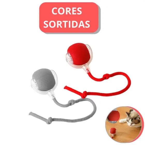 Bola Inteligente para Pets – Brinquedo Interativo Automático Recarregável -  (Cores Sortidas)