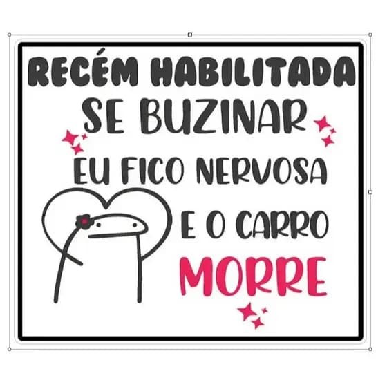 ADESIVO RECEM HABILITADA