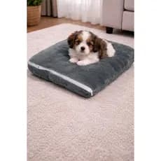 ALMOFADA MACIA COM ZÍPER 50CM X 50CM PARA PET GATO CACHORRO EM MANTA SOFT MICROFIBRA PELUCIA