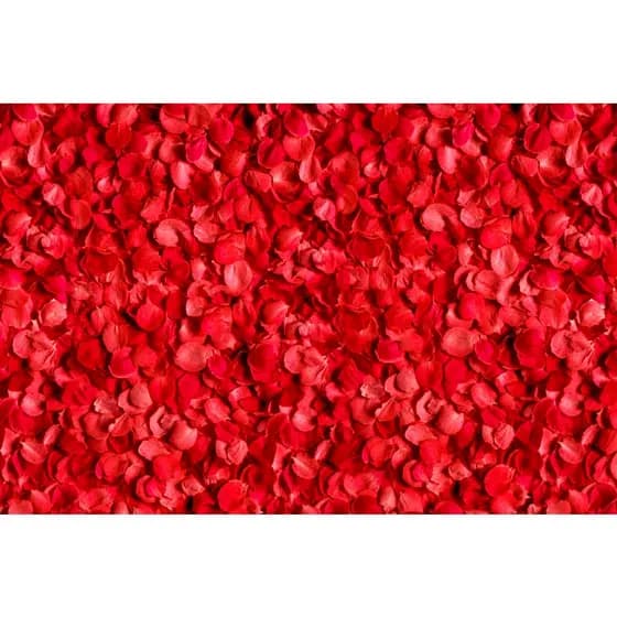 Pétalas De Rosas Artificiais Para Decoração Casamento Romantico