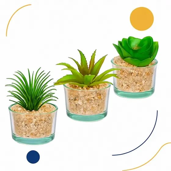 ARRANJO DE SUCULENTAS NO VASO DE VIDRO PARA DECORAÇÃO