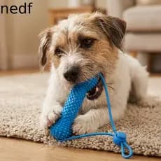 NEDFS Vara De Dentição Para Cães , Resistente À Mordida Com Corda , Brinquedo De Limpeza De Dentes De Animais De Estimaç