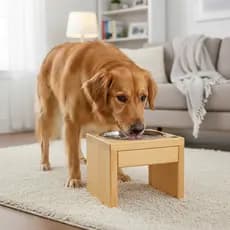 Comedouro Único Elevado 20cm de Altura Para Cachorro