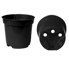 Kit 25/50/75/100 Vaso Pote 6 Plástico 80ml Para Suculentas Mudas Lembrancinhas - Cor Preto