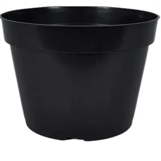 Kit 10 a 100 Vasos Pote 11 Plástico Preto (430ml) - Para Mudas, Rosa do Deserto, Plantas em Geral