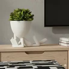 Vaso Suculenta Robert Plant Bob