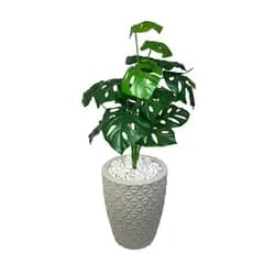 Planta Arranjo Artificial Costela de Adão E Vaso Grande Polietileno Decoração Sala Escritório Casa