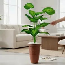 Planta Artificial Comigo Ninguém Pode E Vaso Rattan Grande Decorativo