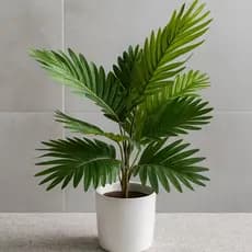 Planta Arranjo Artificial Arranjo Coqueiro Decoraçao Casa Enfeites Sala Quarto Escritório Natural