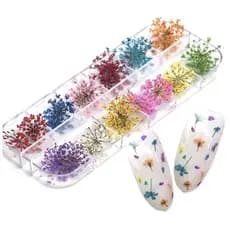 Caixinha com 24 Flores Secas Encapsulamento Decoração Unhas De Gel