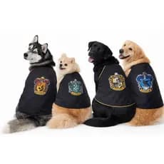 Roupa Pet Fantasia Capa Dupla Face Harry Cachorro Gato