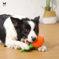 Brinquedos De Mastigar Estridentes Para Cães-Bolas De Quebra-Cabeça Limpeza De Dentes Filhote De Cachorro Raça Pequena