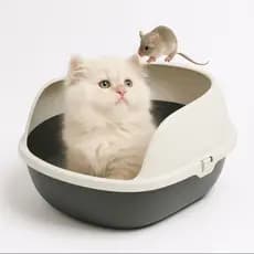 Caixa de Areia Sanitária Bandeja Higiênica Com arco para Gato FURACÃO PET