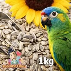 Girassol Graúdo à Granel 1kg - Sementes Naturais para Seu Pet