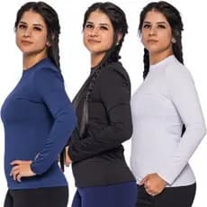 Kit C/2 Camiseta De Inverno Blusa de Frio Térmica Feminina Segunda Pele Slim Peluciada Forrada Por Dentro Manga Longa