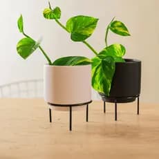 Vaso Cachepot Porcelana Com Suporte Ferro Preto Decoracao