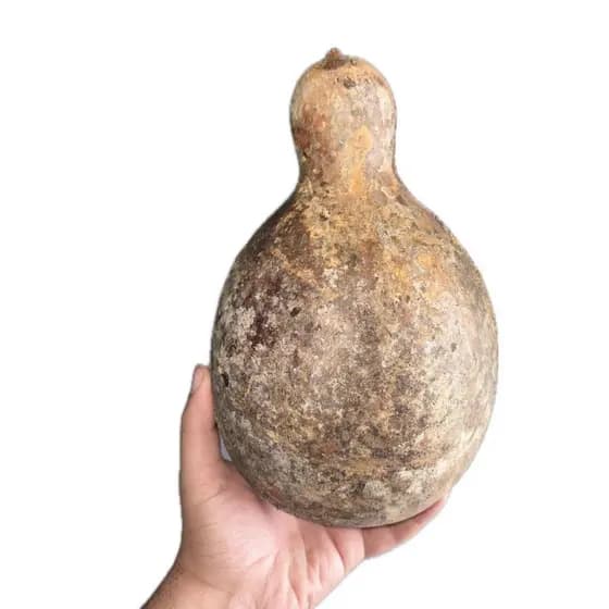 Cabaça Porongo Cuia Mini Para Artesanato Kit 5 Und