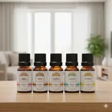 Essência Óleo Aromatizante Coala 10ml – Baunilha, Alecrim,  Rosa do Oriente, Âmbar