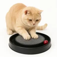 Arranhador Para Gato Com Bolinha Brinquedo Interativo Pizza Anti Estresse Redondo