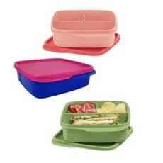 Basic Line com divisórias 550 ml