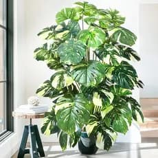 18/24 Folhas Costela De Adão Artificial Buquê 75 Cm Verde Natural Planta Artificial