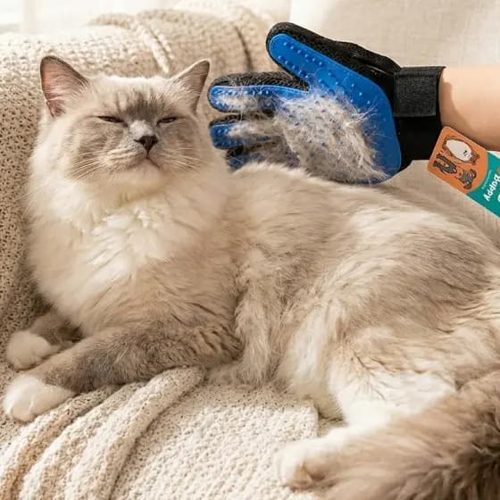 Luva Removedora de Pelos Pet Vermelha/Azul Massageadora TPR AntiQueda Prática Fácil Limpar 🐾