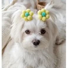 Lacinhos Pet Pompom Coloridos | 10 ou 20 Unidades | Acessório Fofo para Cães
