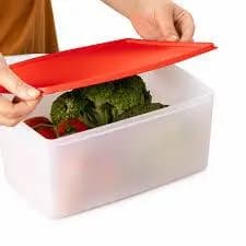 Tupperware Caixa Espaçosa 6,5 litros Linha freezer Tupperware