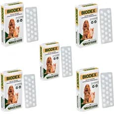 Kit 5 Biodex Remédio Alergia Para Cães E Gatos - Biofarm