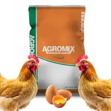 Núcleo/Nucleus Postura/Poedeira 1kg 2kg 3kg - Ac 50 pra Galinha Botadeira