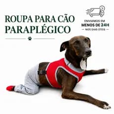 Roupa Protetora Pet Para Cachorro Paraplégico - Pernas Traseiras/Membros Posteriores