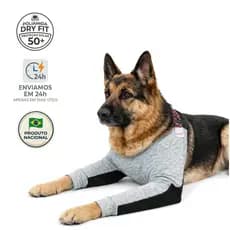 Cotoveleira Ortopédica Acolchoada Para Cachorros - Pernas Dianteiras - Proteção Calos e Higromas