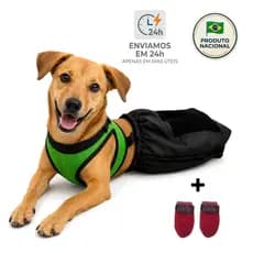 Saco de Arrasto Impermeável para Cachorro Paraplégico - Colete Ventilado - Meia Pet de Cortesia