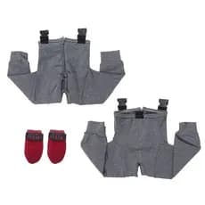 Calça e Meia Para Cachorro Paraplégico do Conjunto Vani Pet