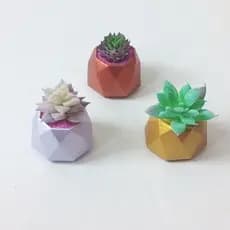 Cachepot Para Suculenta, Vaso Decorativo, Vasinhos Para Suculenta