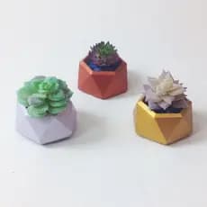 Vaso Para Suculenta, Cachepot Para Suculenta, Vaso Decorativo