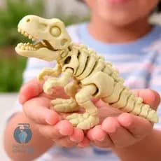 Dinossauro Esqueleto Articulado 3D Brinquedo Infantil Educativo REF.039