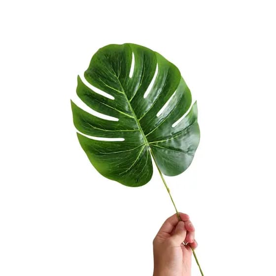 6 Folhas Costela de Adão 57cm Folhagem Verde Planta Artificial para Arranjo, Vaso e Decoração