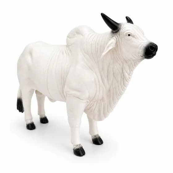Touro Branco Brinquedo Boi 25 cm Animais Da Fazenda Infantil Realista Resistente Fazendinha Feliz Nova Coleção Farm